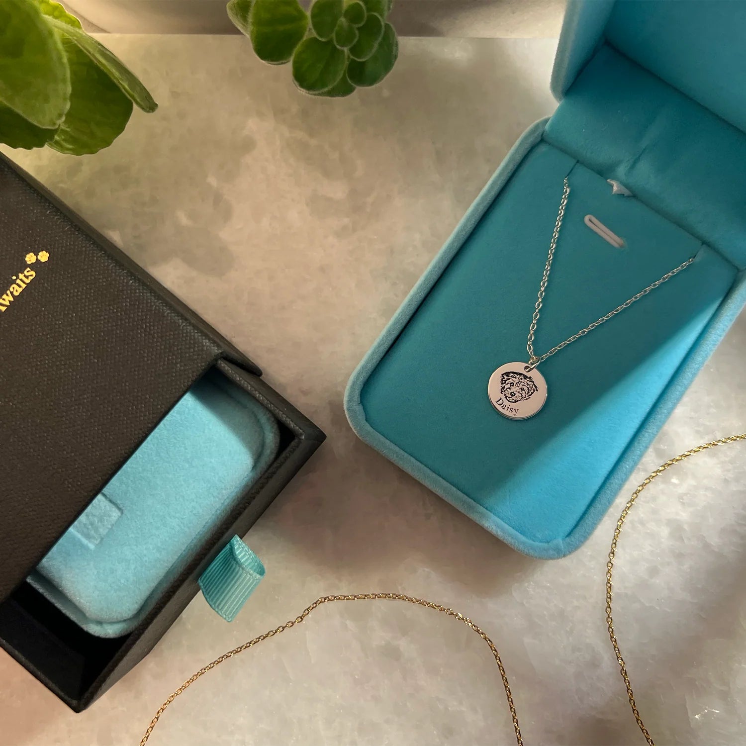 Collier portrait de votre Compagnon